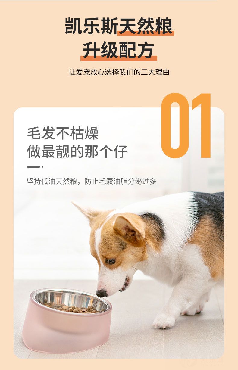 详情_03.jpg